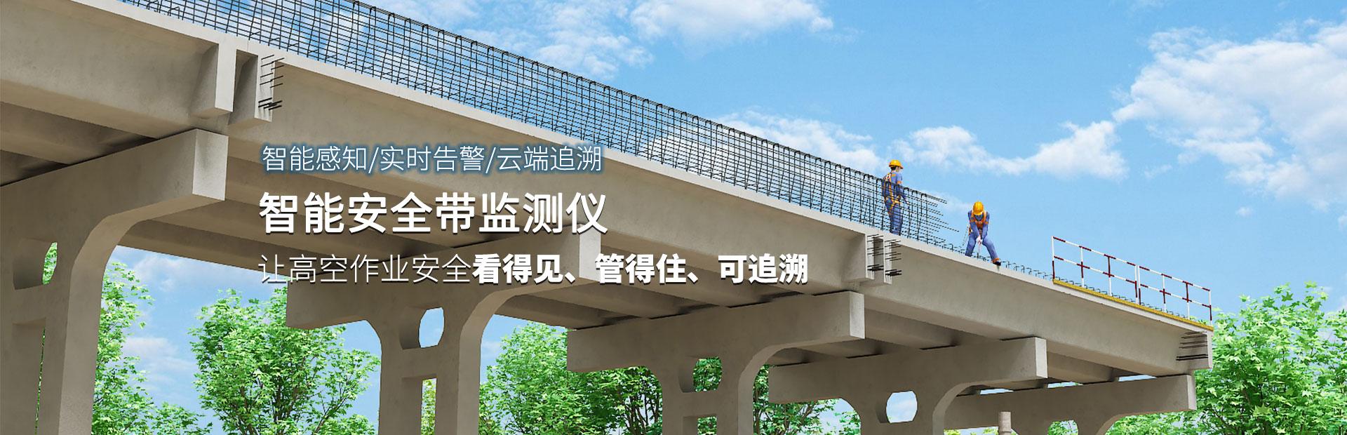 智能安全帶監(jiān)測儀